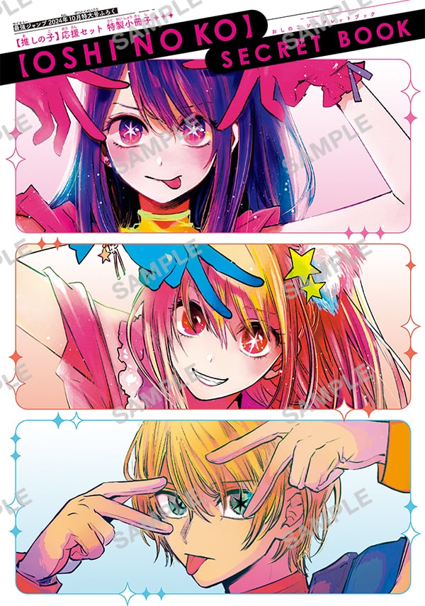 星野家のシークレットブック