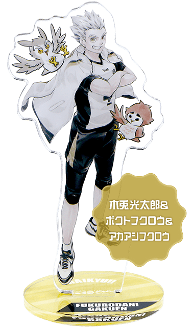 木兎光太郎&ボクトフクロウ&アカアシフクロウ