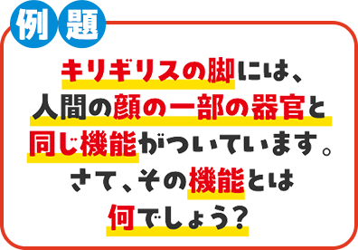 問題
